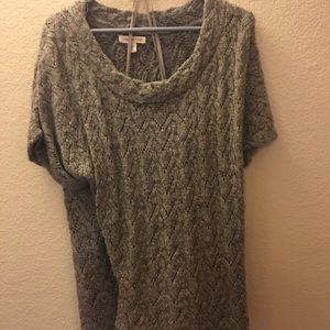 Gray short sleeve CC sweater. Plus size